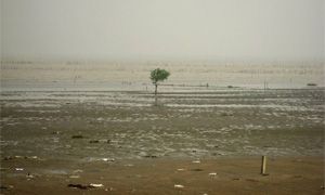 China: Postulan ciudades esponja para mitigar más efectivamente inundaciones, e inhibir contaminación hídrica (Investigación y Desarrollo)